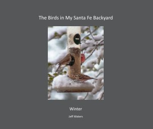 The Birds in My Santa Fe Backyard   Soft Cover book cover