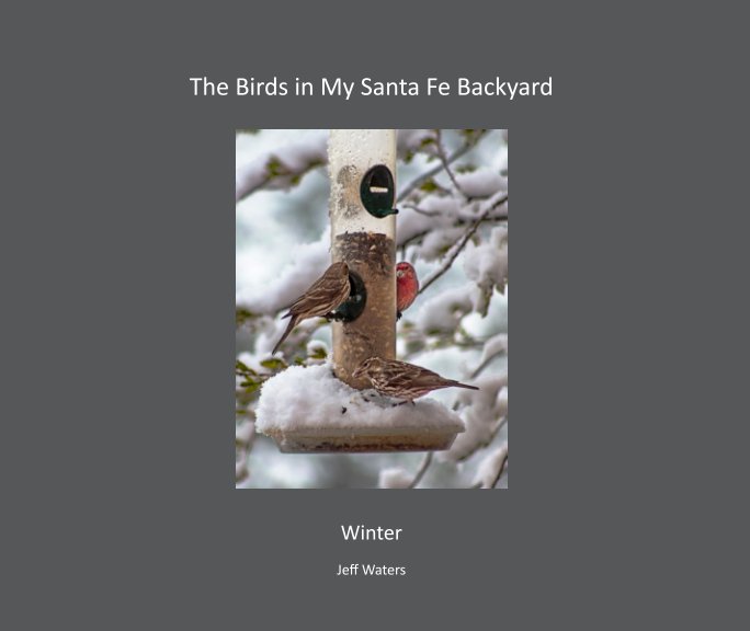 Visualizza The Birds in My Santa Fe Backyard   Soft Cover di Jeff Waters