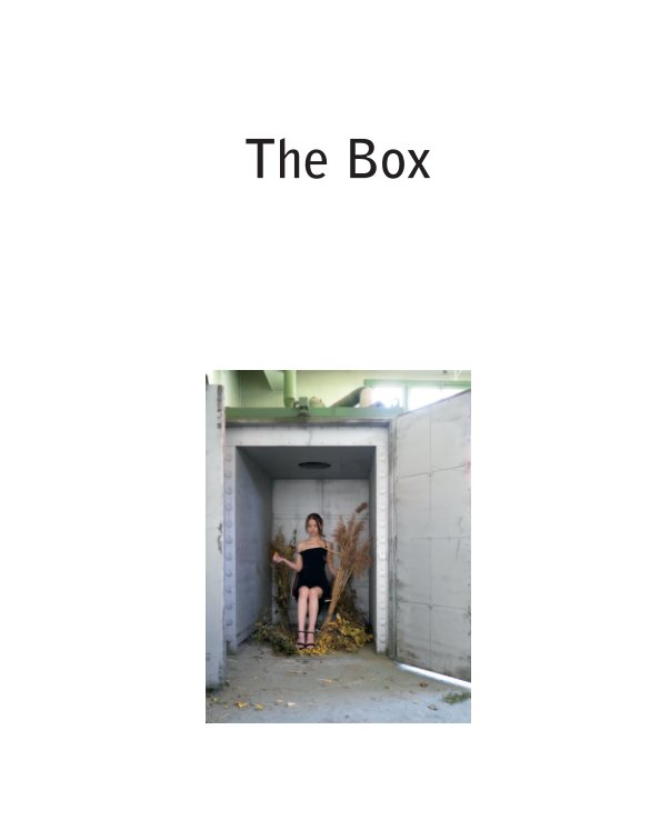 The Box nach Alexandre Pierre Albert anzeigen