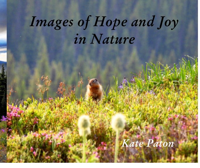 View Images of Hope and Joy in Nature by Kate Paton