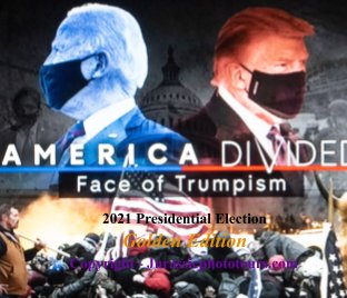 America Divided - Trump Vs Biden book cover