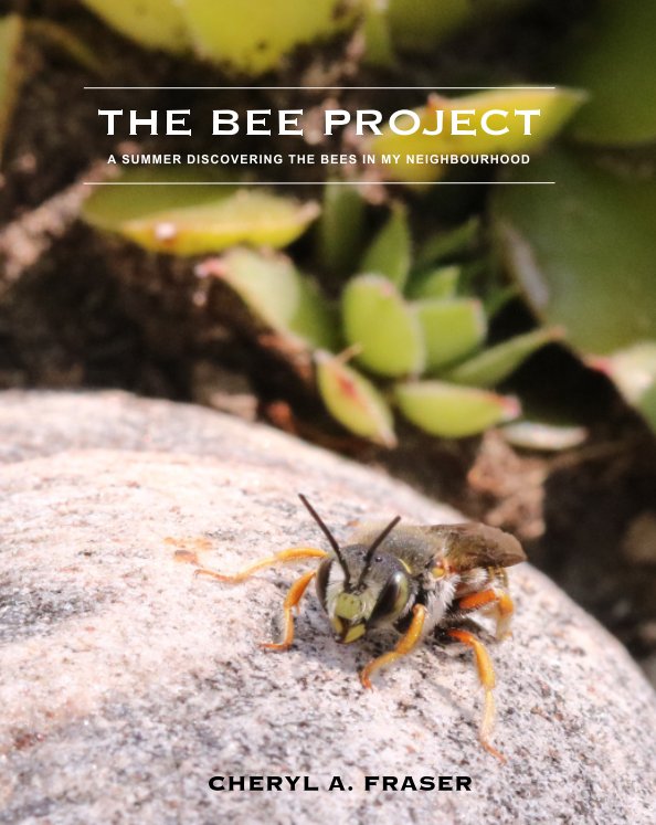 View The Bee Project by Cheryl A. Fraser