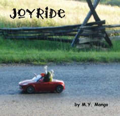 Joyride book cover