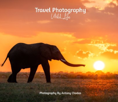 Travel Photography - Wild Life book cover