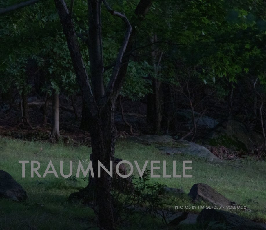 View Traumnovelle by Tim Gerdes