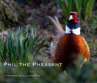 Phil the Pheasant book cover