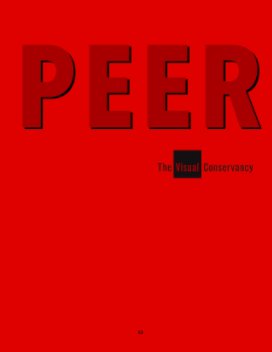 Peer #3 book cover