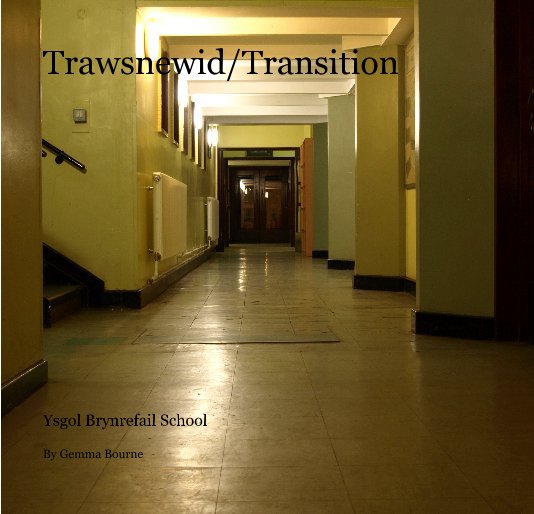 View Trawsnewid/Transition by Gemma Bourne