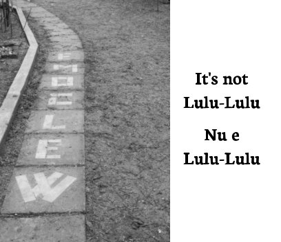 It's Not Lulu-Lulu / Nu e Lulu-Lulu book cover