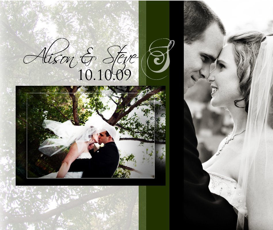 View Alison and Steve Stashek by Pittelli Photography