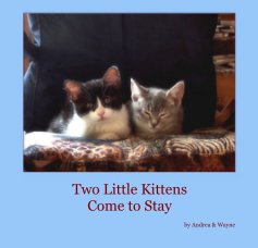 Two Little Kittens Come to Stay book cover