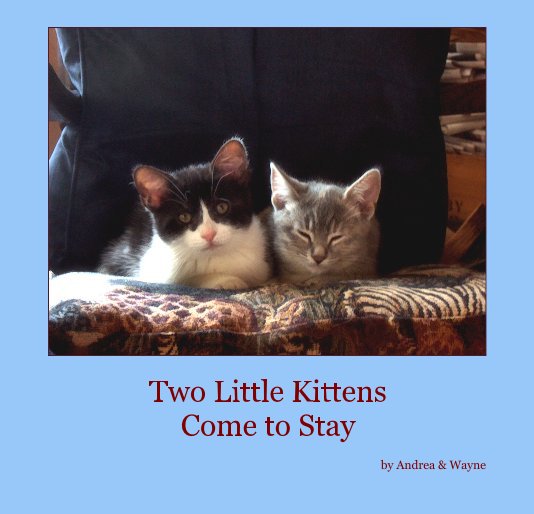 Ver Two Little Kittens Come to Stay por Andrea Lebowitz & Wayne Wiens