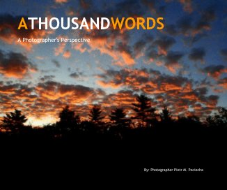 ATHOUSANDWORDS book cover