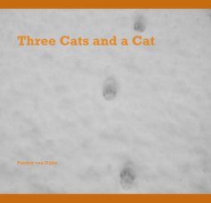Three Cats and a Cat book cover