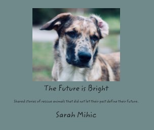 The Future is Bright book cover