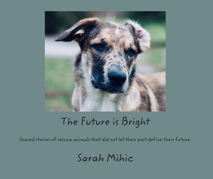 View The Future is Bright by Sarah Mihic
