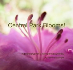 Central Park Blooms! book cover