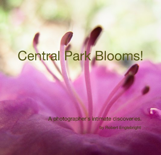 Visualizza Central Park Blooms! di Robert Englebright