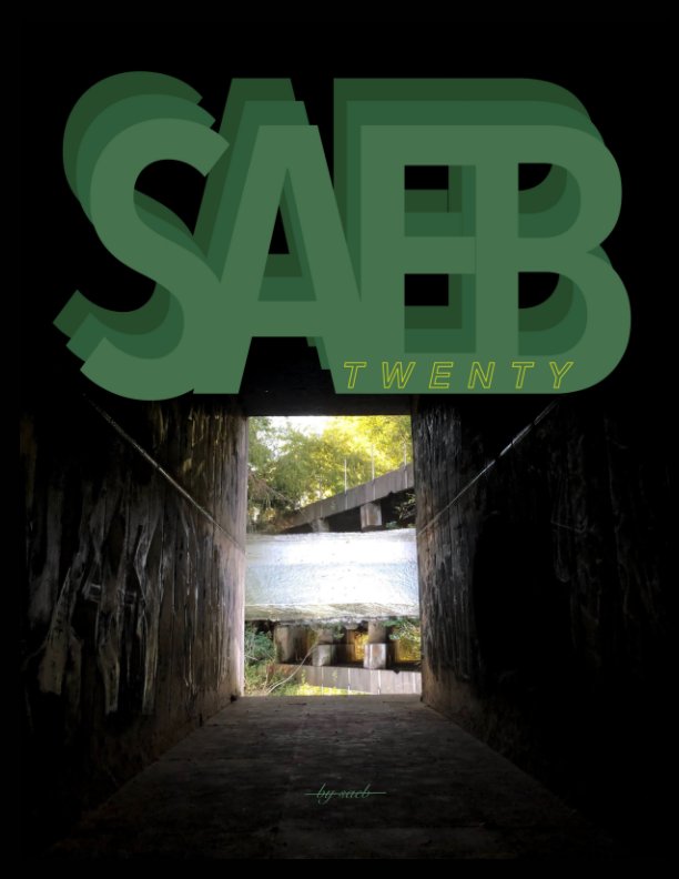 View Saeb Twenty by Ray Albarez