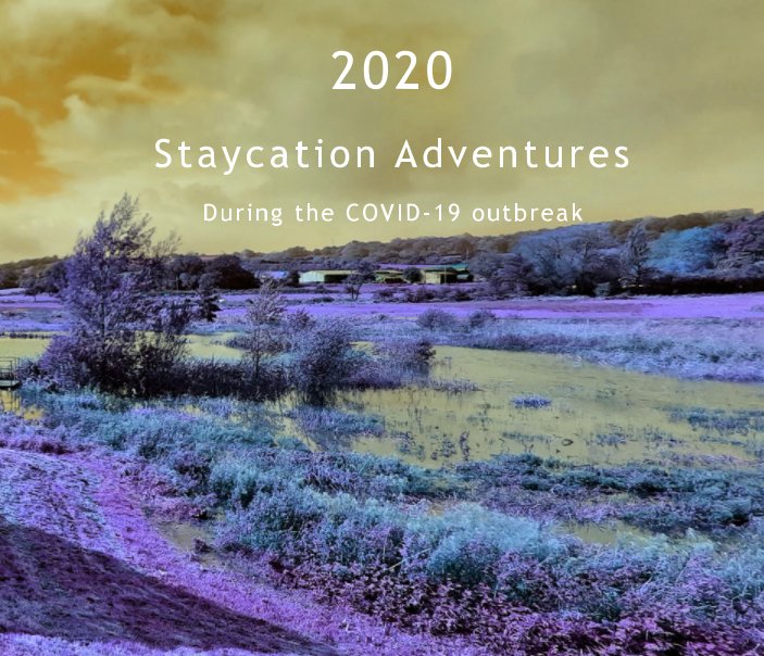 Visualizza 2020 Staycation Adventures di Amanda Wilson, Copyright 2021