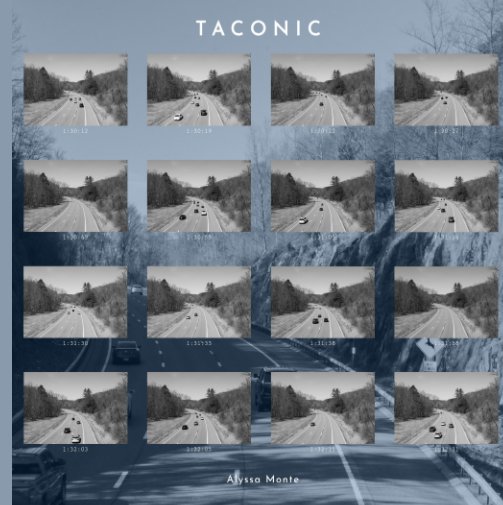 View Taconic by Alyssa Monte