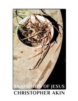 Snapshots of Jesus book cover