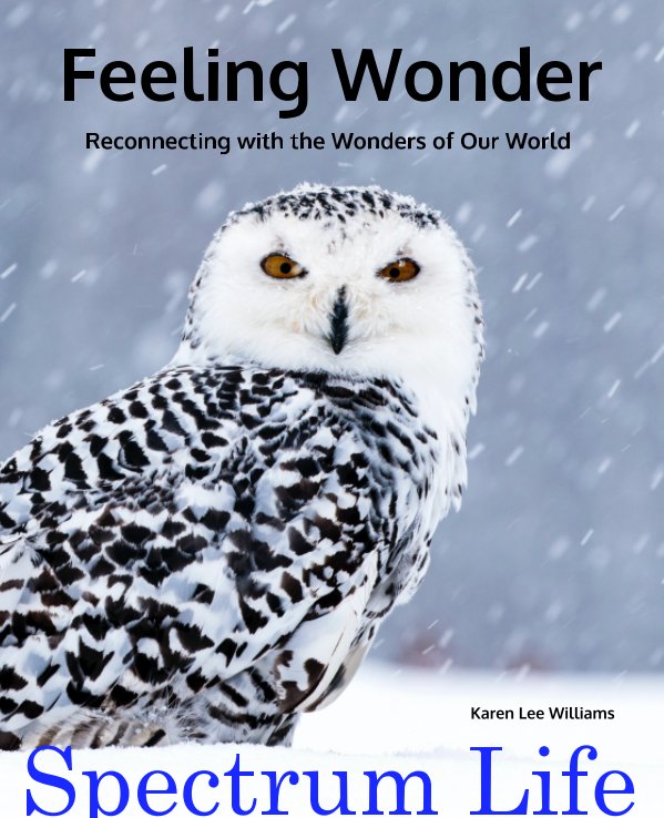 View Feeling Wonder by Karen Lee Williams