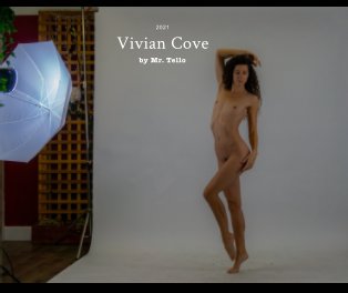 Vivian Cove book cover