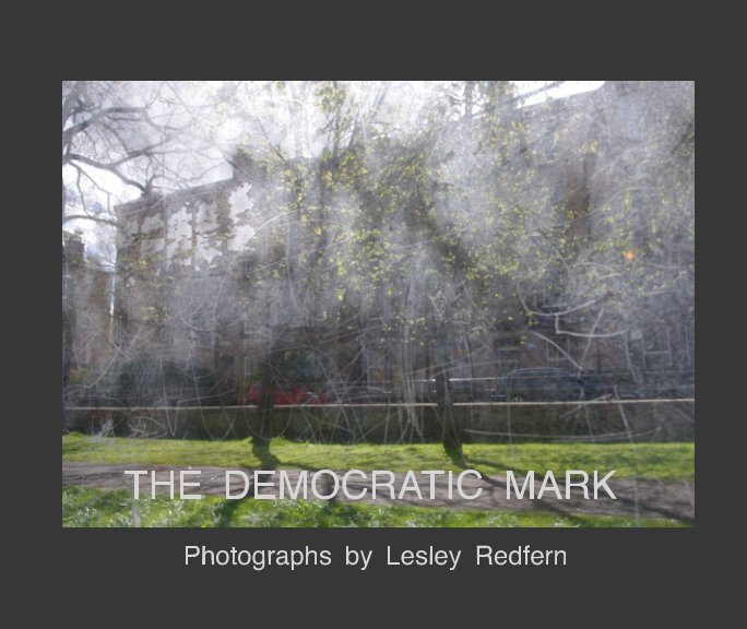 View The Democratic Mark by Lesley Redfern