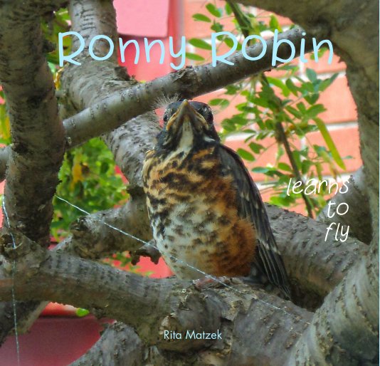 View Ronny Robin Learns to Fly [PDF] by Rita Matzek