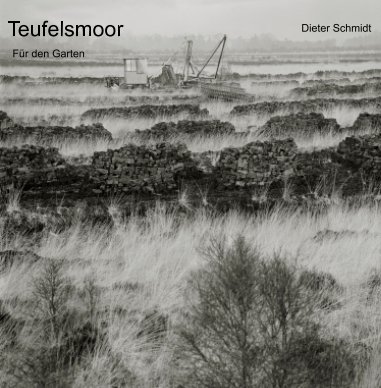 Teufelsmoor book cover