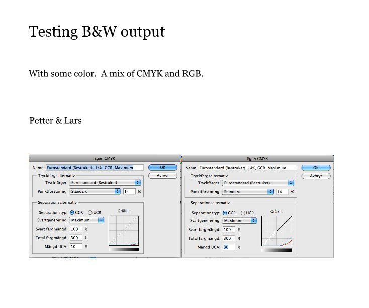 View Testing B&W output by Petter & Lars