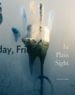 In Plain Sight book cover