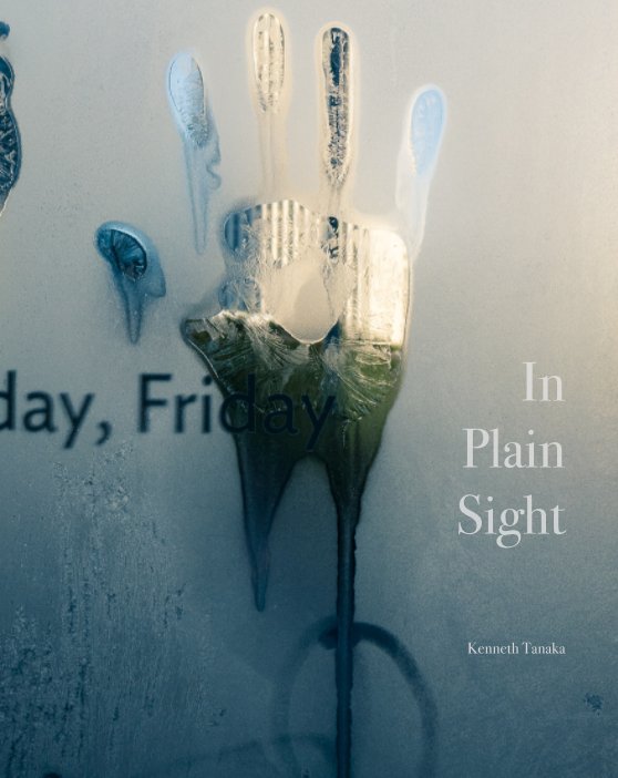 View In Plain Sight by Kenneth E. Tanaka