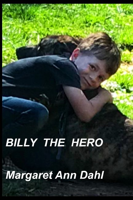 View Billy the Hero by Margaret Ann Dahl