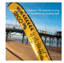 IN and Out of Lockdown: The Seaside During the Pandemic book cover