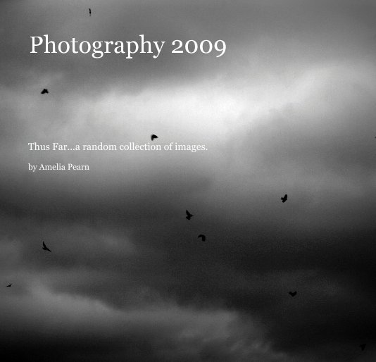 View Photography 2009 by Amelia Pearn