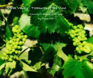 Verde Valley - Treasures of the Vine book cover