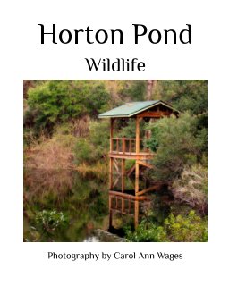 Horton Pond book cover