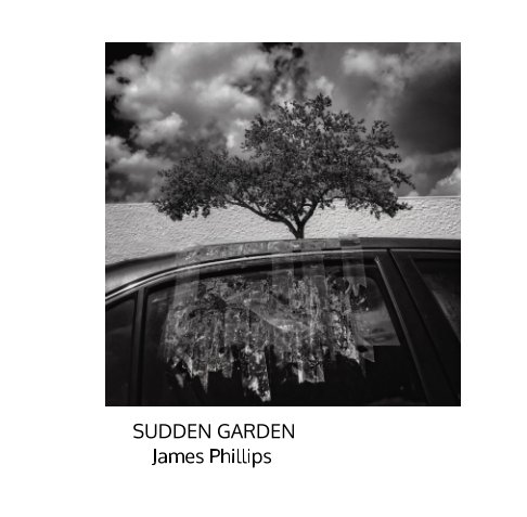 View Sudden Garden by James Phillips
