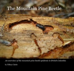 The Mountain Pine Beetle book cover
