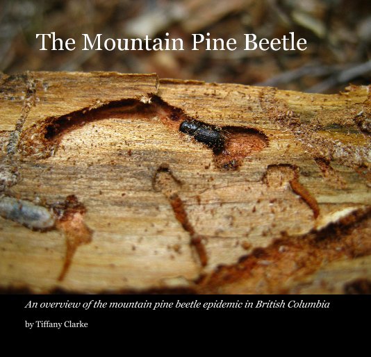 View The Mountain Pine Beetle by Tiffany Clarke