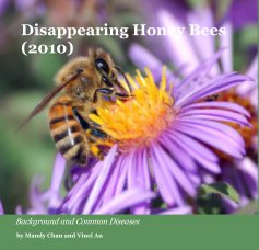 Disappearing Honey Bees (2010) book cover