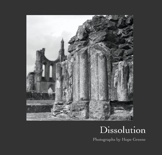 View Dissolution by Hope Greene