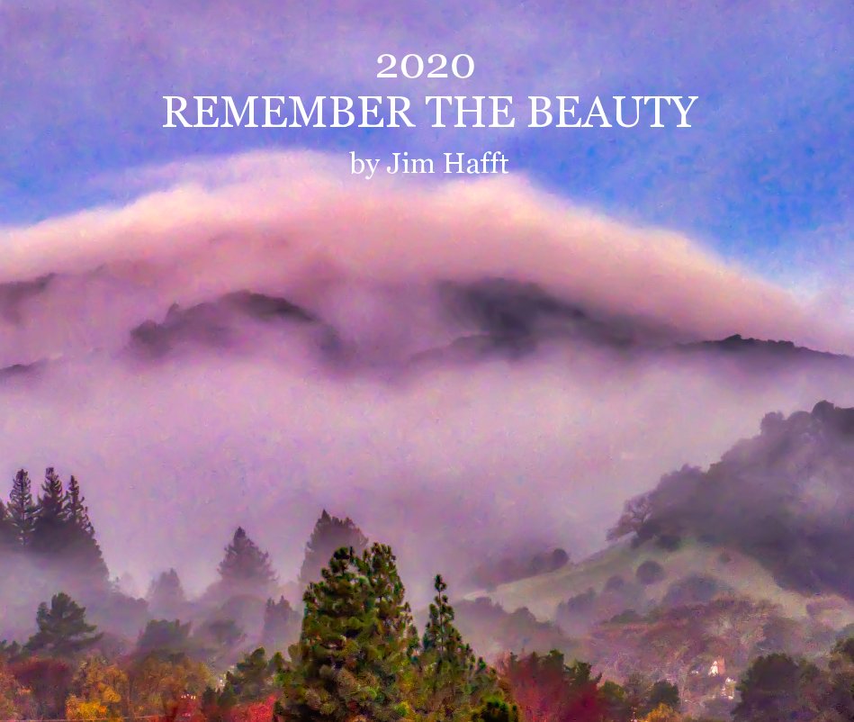 Visualizza 2020 Remember the Beauty di Jim Hafft
