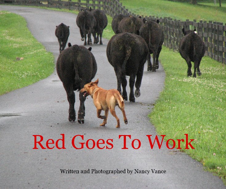 View Red Goes To Work by Written and Photographed by Nancy Vance