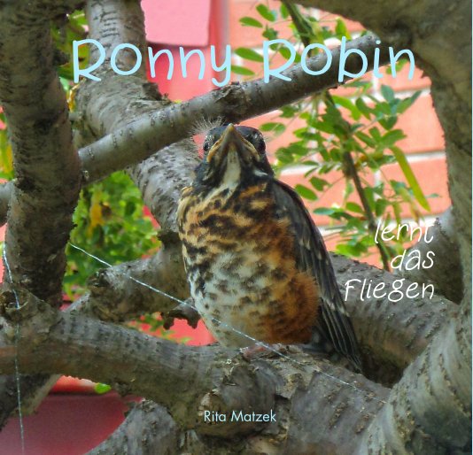 Ver Ronny Robin lernt das Fliegen [PDF] por Rita Matzek; Nicole Matzek