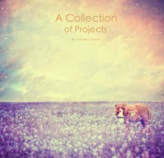 A Collection of Projects book cover