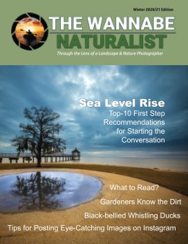 The Wannabe Naturalist Magazine Edition 21-1 book cover