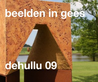 beelden in gees dehullu 09 book cover